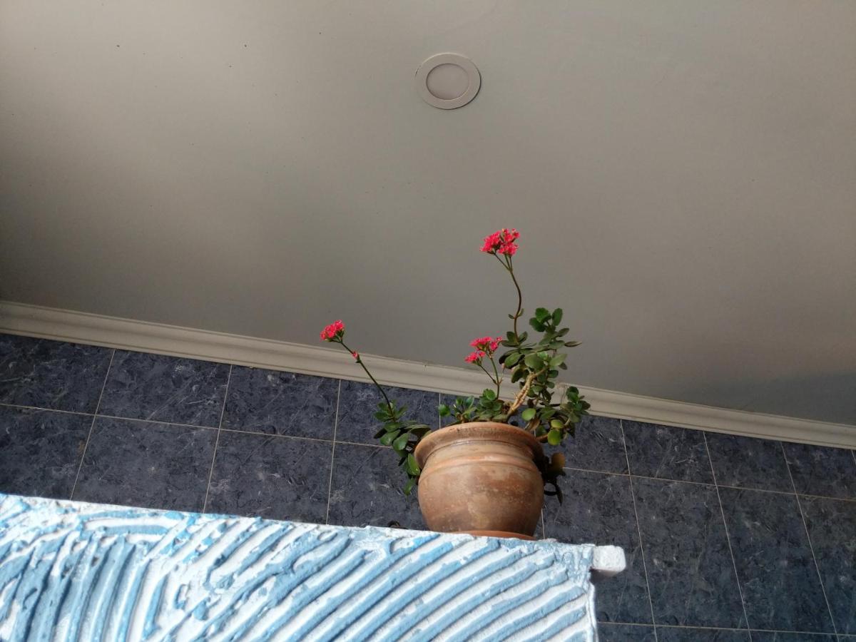 Diwan Hostel Tbilisi ภายนอก รูปภาพ